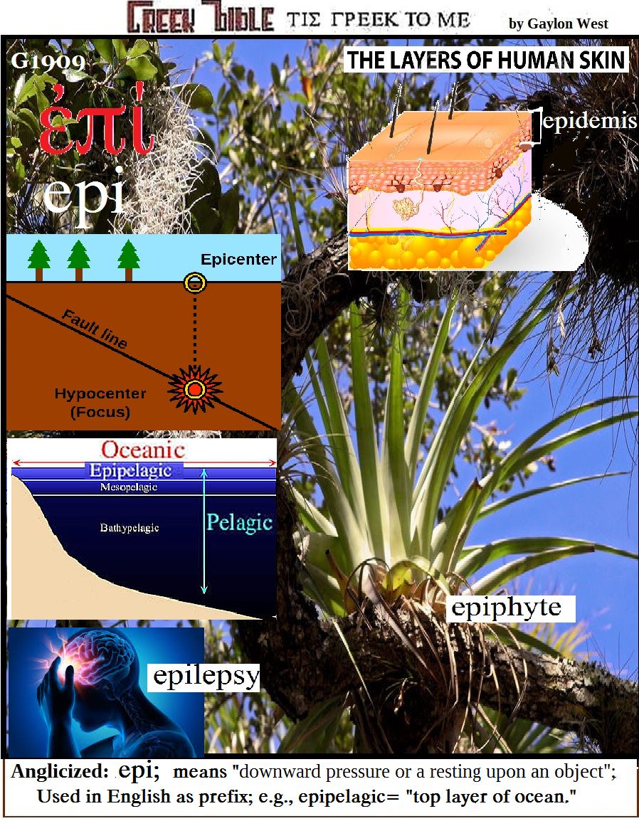 graphic on G1909 epi