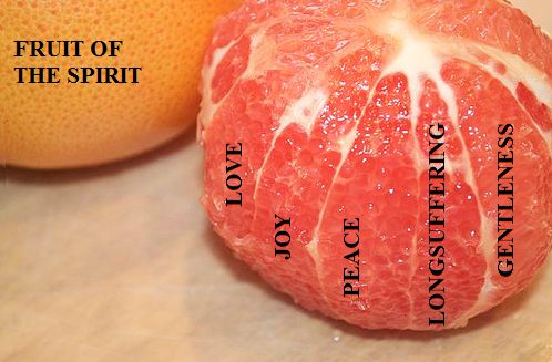 image of single fruit sectioned