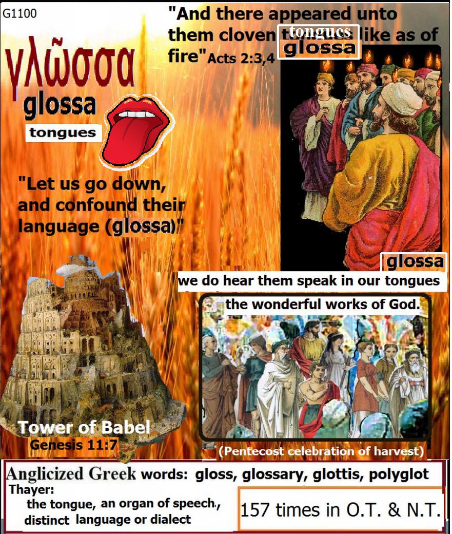 tongues {glossa G1100)graphic
