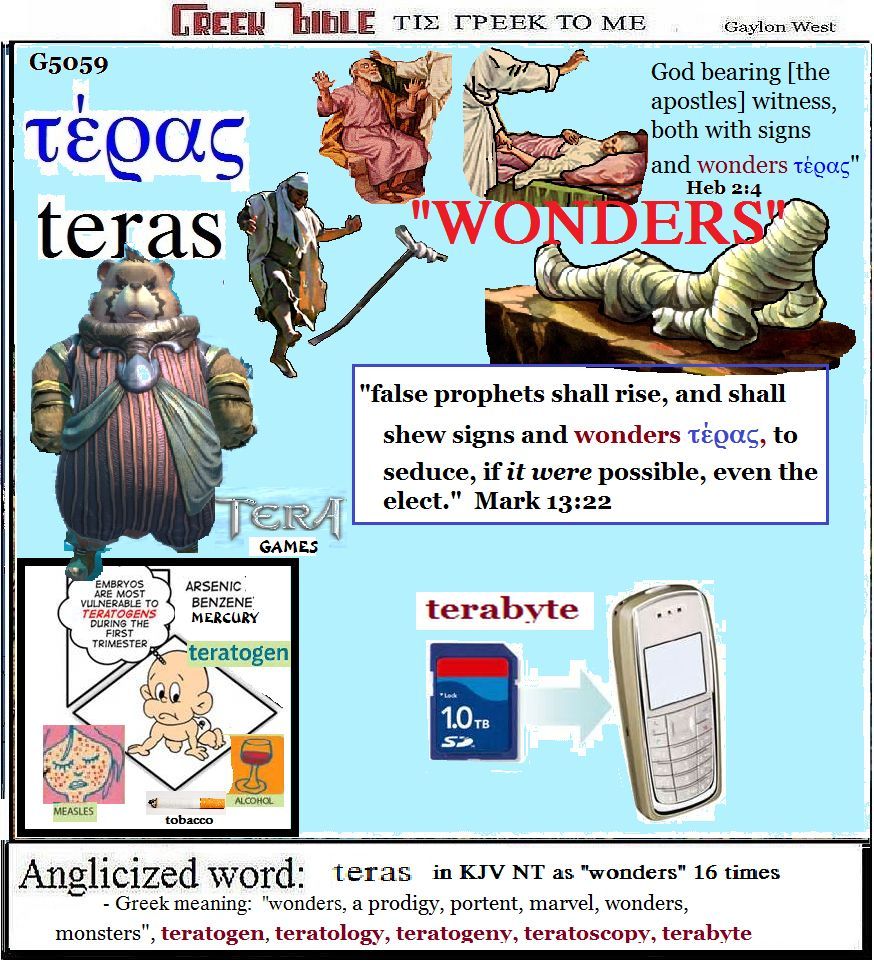 teras G5059 wonders illustrated