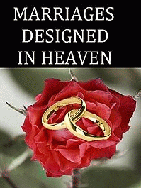 Marriages Designed in Heaven book